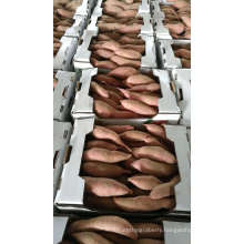Fresh Sweet Potato Wholesale